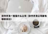 软件开发一般是什么公司（软件开发公司都有哪些岗位）