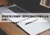 软件开发公司推荐（软件开发的公司取什么名字好）