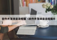 软件开发项目流程图（软件开发项目流程图片）