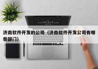 济南软件开发的公司（济南软件开发公司有哪些部门）