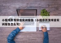 小程序开发项目实训报告（小程序开发项目实训报告怎么写）