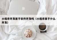 小程序开发属于软件开发吗（小程序属于什么开发）