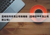 昆明软件开发公司有哪些（昆明软件开发公司新公司）