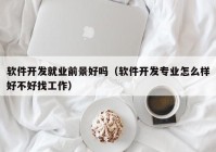 软件开发就业前景好吗（软件开发专业怎么样好不好找工作）