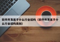 软件开发属于什么行业结构（软件开发属于什么行业结构类别）