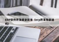 ERP软件开发就业前景（erp开发有前途吗）