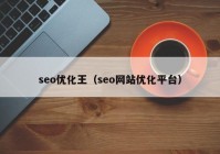 seo优化王（seo网站优化平台）