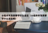 小程序开发需要学什么语言（小程序开发需要学什么语言呢）