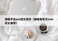 湖南平台seo优化技术（湖南有实力sem优化推荐）