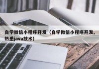 自学微信小程序开发（自学微信小程序开发,熟悉java技术）