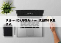 快速seo优化哪里好（seo快速排名优化技术）