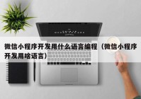 微信小程序开发用什么语言编程（微信小程序开发用啥语言）