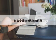 包含宁波seo优化的词条