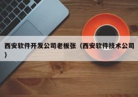 西安软件开发公司老板张（西安软件技术公司）