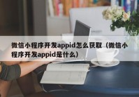 微信小程序开发appid怎么获取（微信小程序开发appid是什么）