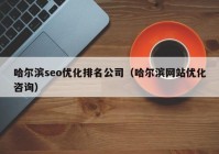 哈尔滨seo优化排名公司（哈尔滨网站优化咨询）