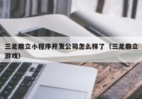 三足鼎立小程序开发公司怎么样了（三足鼎立游戏）